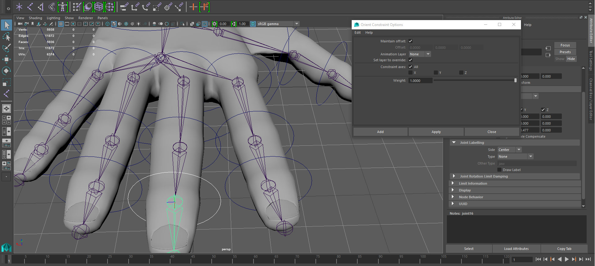 Using bones to rig the hand